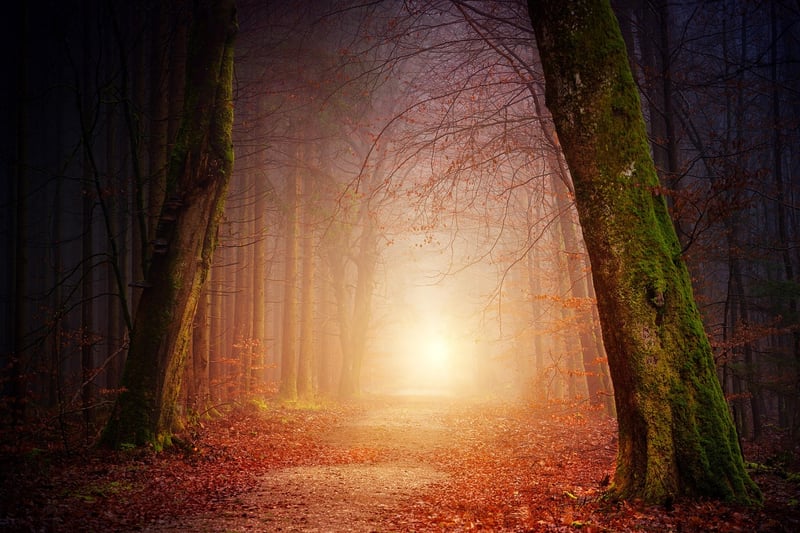 Mystical Landscape